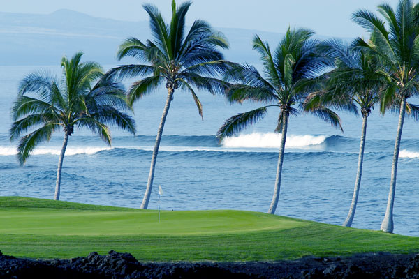 ping パター　ワイコロア　waikoloa beach golf club